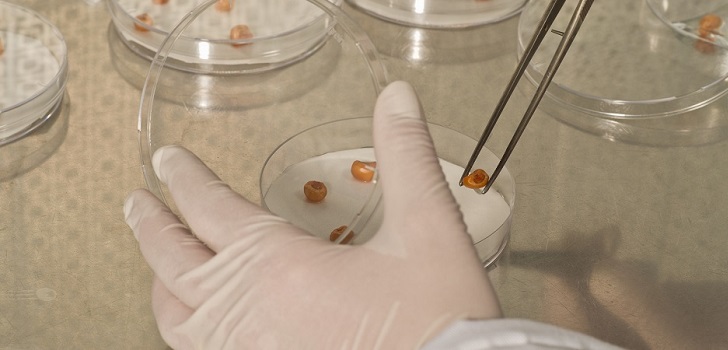 Diagnóstico 'in vitro' Diagnóstico ‘in vitro’ y dental: los sectores líderes en tecnología sanitaria en España